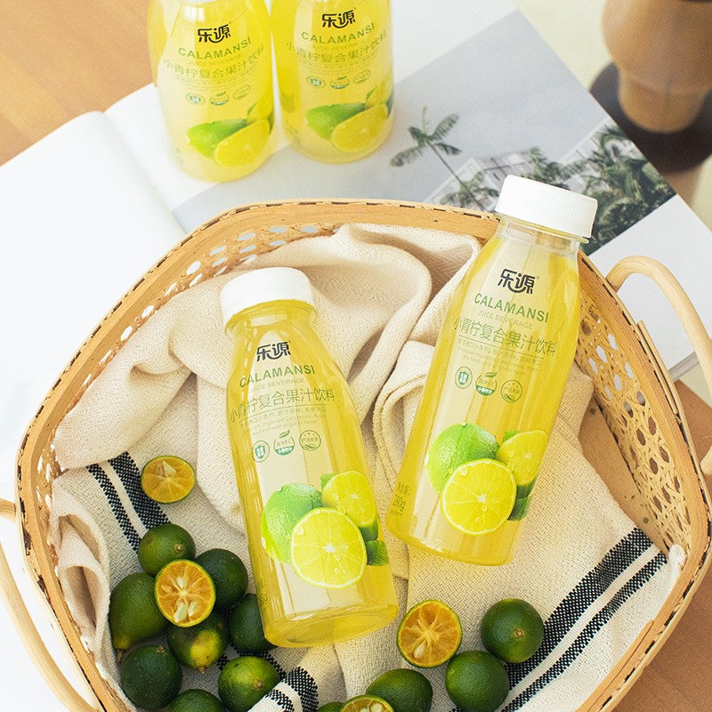 乐源小青柠汁果汁饮料280g含VC聚餐饮品 小青柠汁280g*8瓶