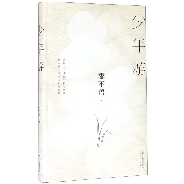 少年游(精)