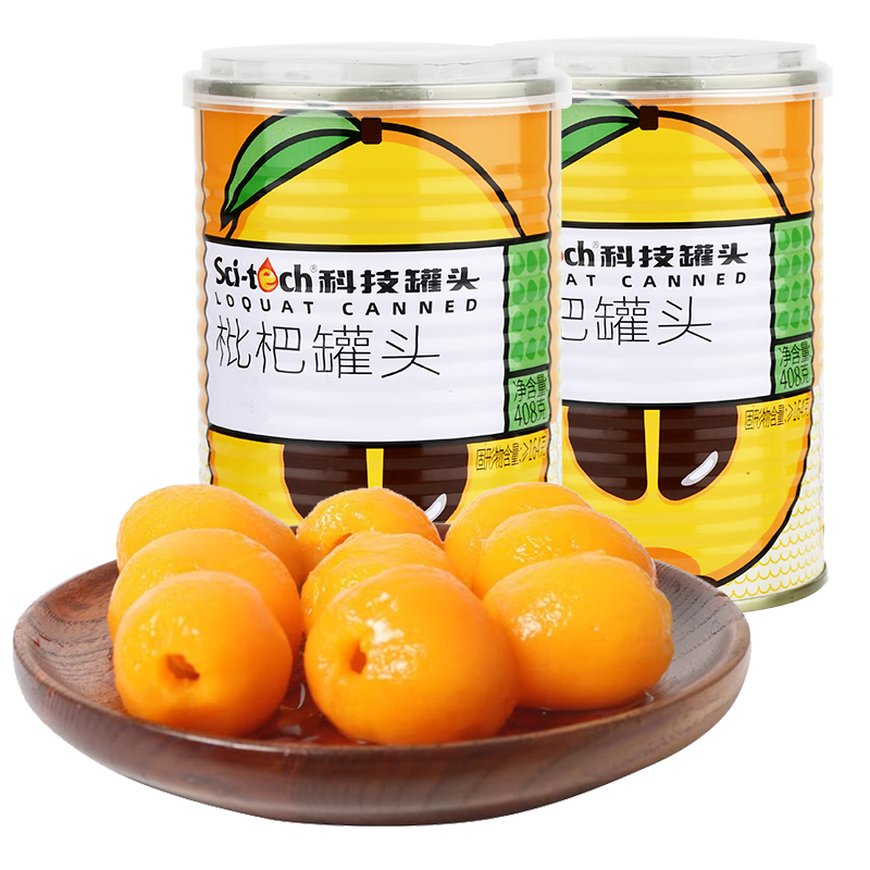 科技 枇杷罐头408g*2罐 水果罐头即食水果捞糖水饮料节日礼物