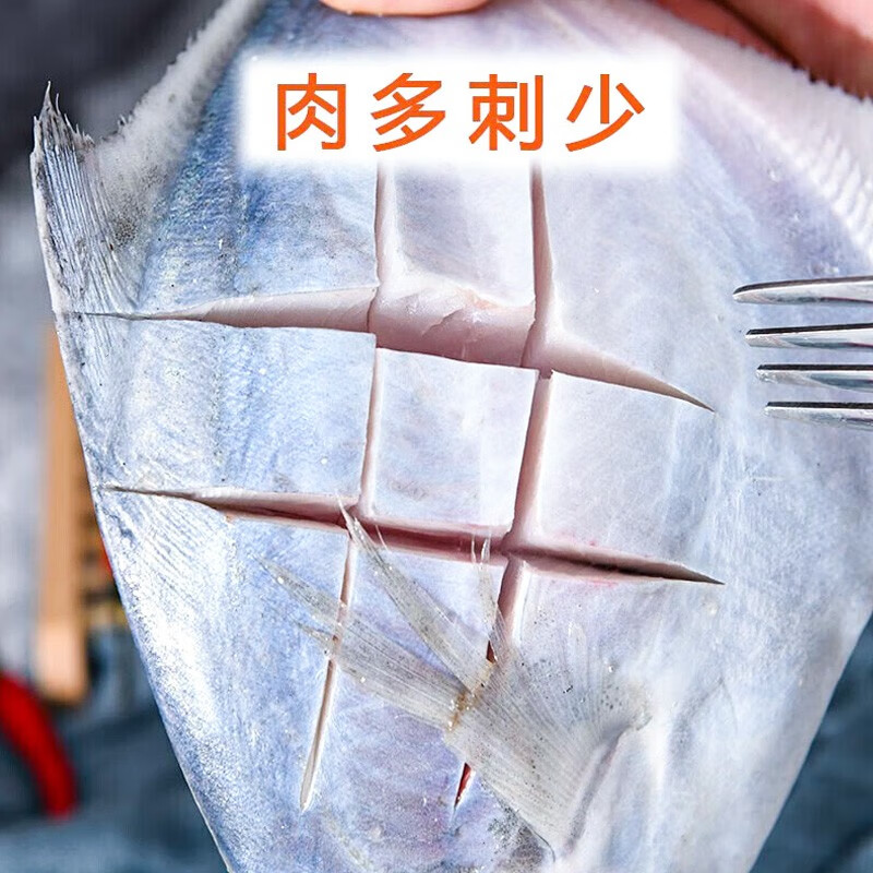 虾有虾途银鲳鱼白鲳鱼特大鲳鱼生鲜 鱼类新鲜冷冻银昌鱼海鱼平鱼海鲜批发 特大银鲳鱼【3斤】装每斤约3-4条