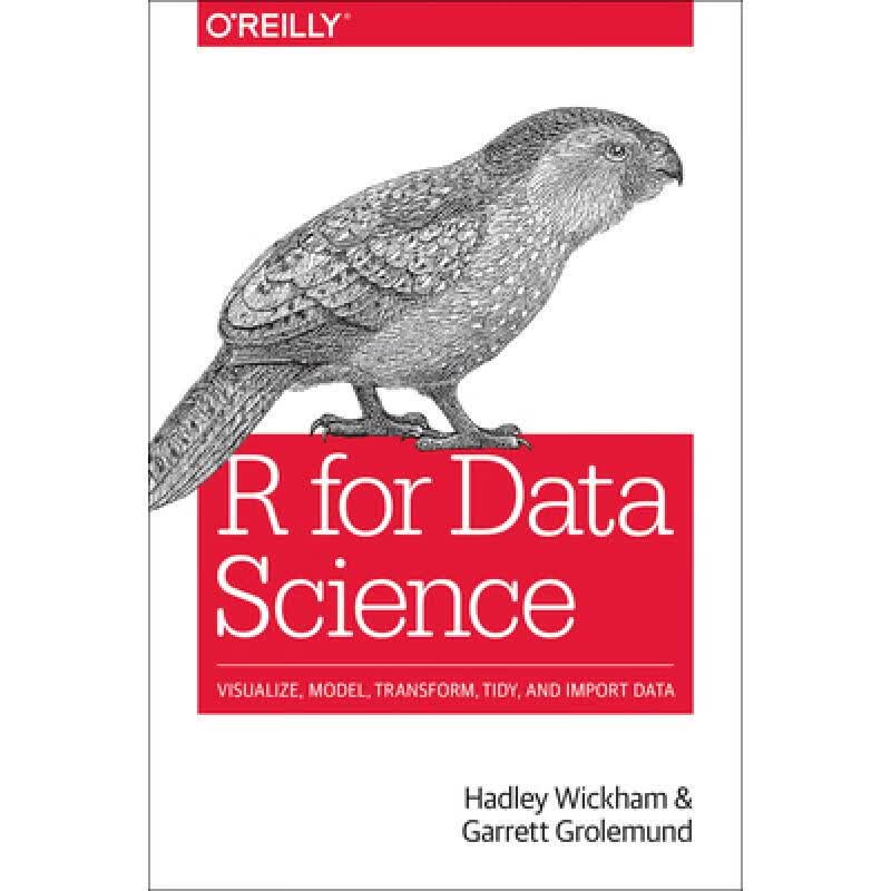 现货 数据科学R语言实现 R for Data Science: Import, Tidy, ...