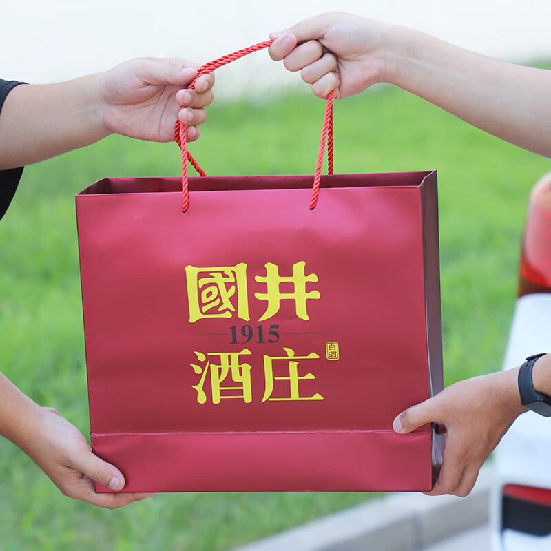 国井白酒 山东名酒 鸿运高照 礼盒装白酒 浓香型  52度 480mL 2瓶 手提礼盒装