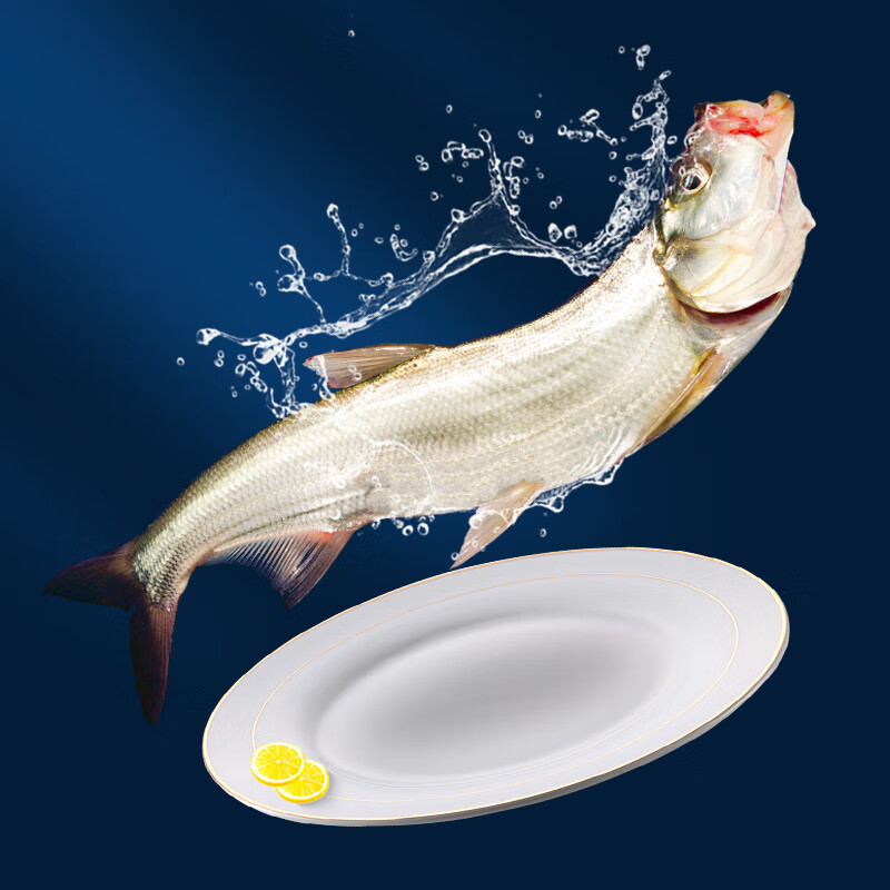 简鲜三去开背大白刁翘嘴鱼淡水鱼去腮去内脏刺多肉嫩 300克*4条