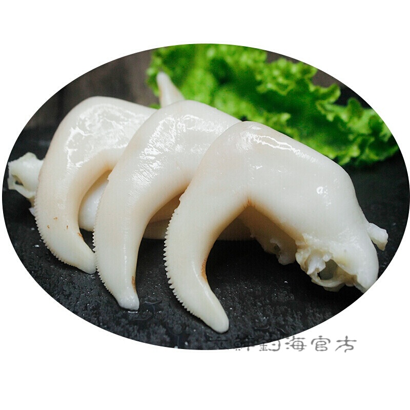 六鲜钓海 鸟贝白玉贝现捕现剥  新鲜当天现捕现剥鲜活海鲜生鲜 白玉贝
