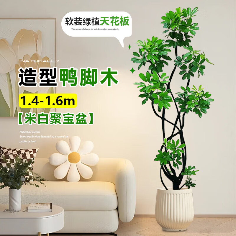欧芽  鸭脚木客厅大盆栽室内阳台造型绿植物鸭掌木鹅掌财落地式大型摆 造型鸭脚木1.4-1.6米+米白聚宝树脂