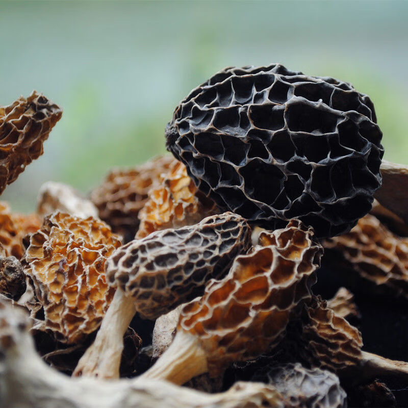 菌妙深山纯野生羊肚菌干货100克老少皆宜缺点就是价格 100g