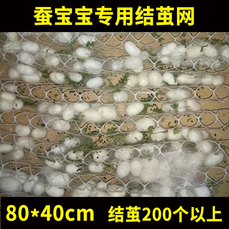 致荟树蚕宝宝吐丝结茧网专用结茧网大网片小网片专用养蚕工具 80*40