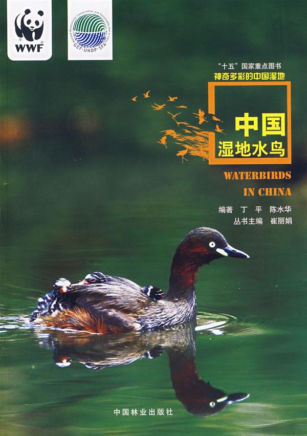 中国湿地水鸟