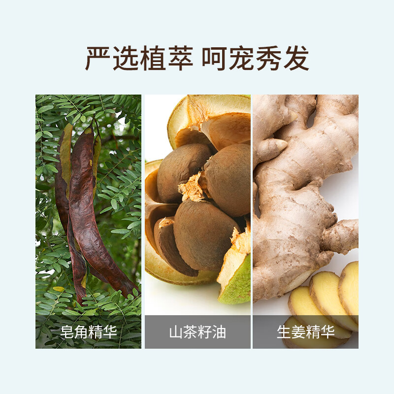 蜂花洗发水男士洁净去屑去油女士控油轻盈舒爽洗发露生姜皂角精华 蜂花去屑控油洗发露 750ml*1瓶