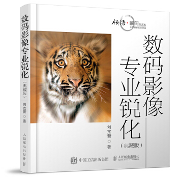 数码影像专业锐化 刘宽新 著 人民邮电出版社【正版图书】