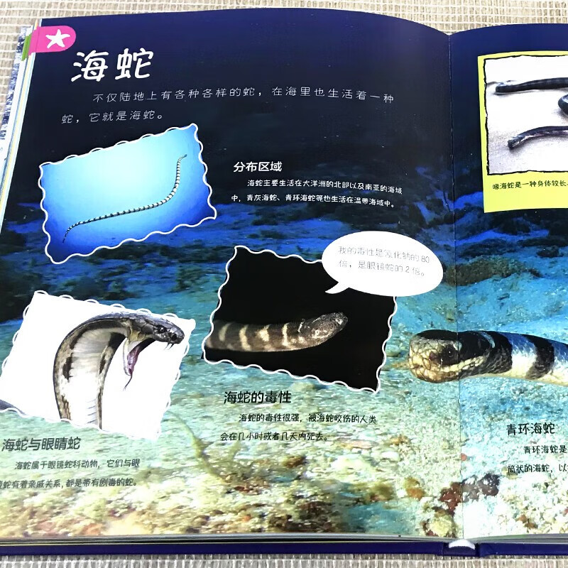 海洋那些重要的事（精装）有趣海洋知识神秘莫测海底世界千奇百怪海洋生物 少年儿童探索百科全书详情图