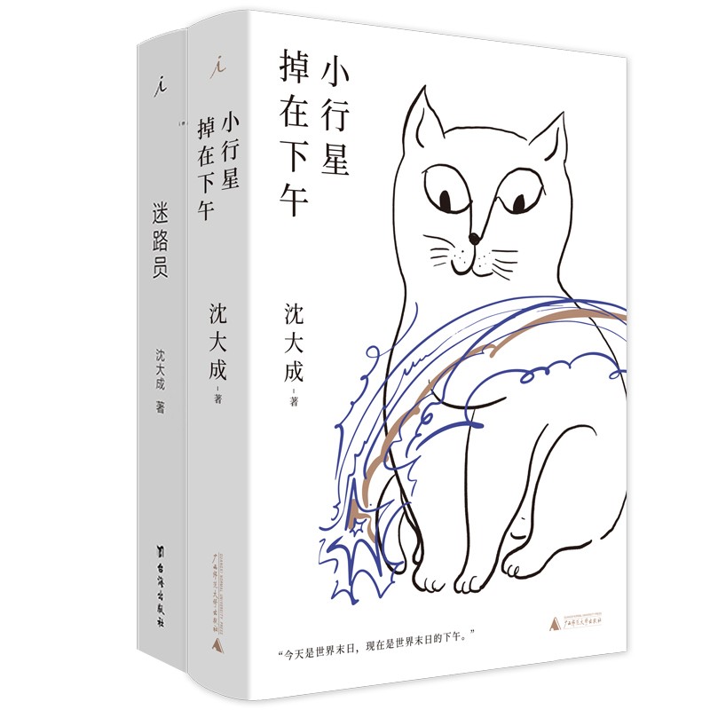沈大成作品（套装共2册）：迷路员+小行星掉在下午 沈大成 著 理想国