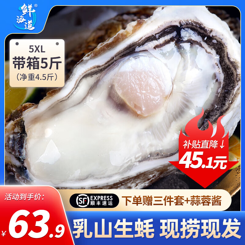 鲜海道【活鲜】鲜海道生蚝  乳山牡蛎 新鲜海蛎子生鲜贝类 蚝王5XL5斤送酱（8-12只））