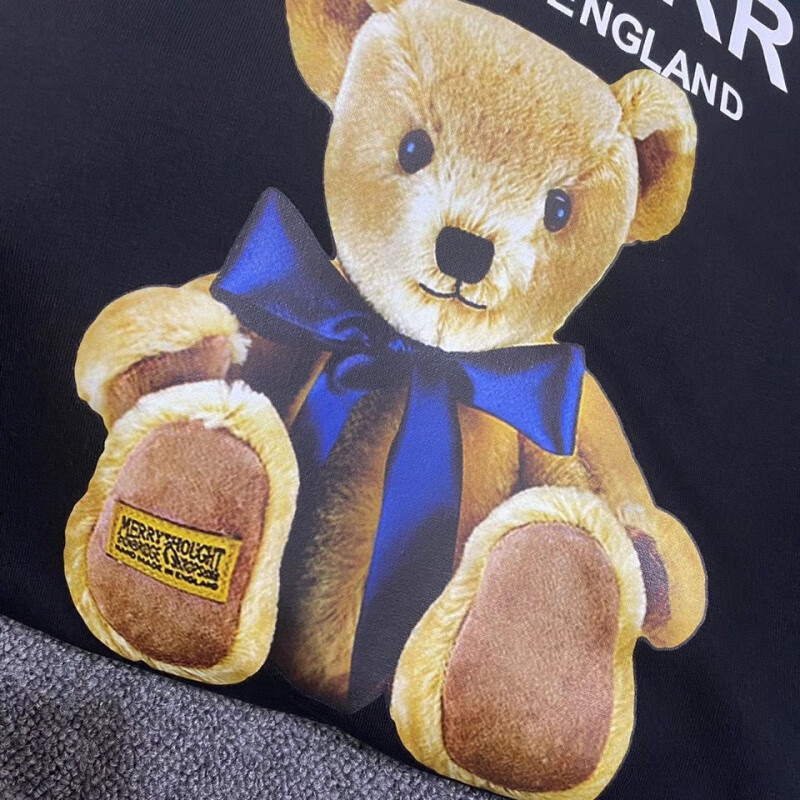 21春秋爆款bt系列潮牌宝莉泰迪熊春秋款卫衣男女圆领