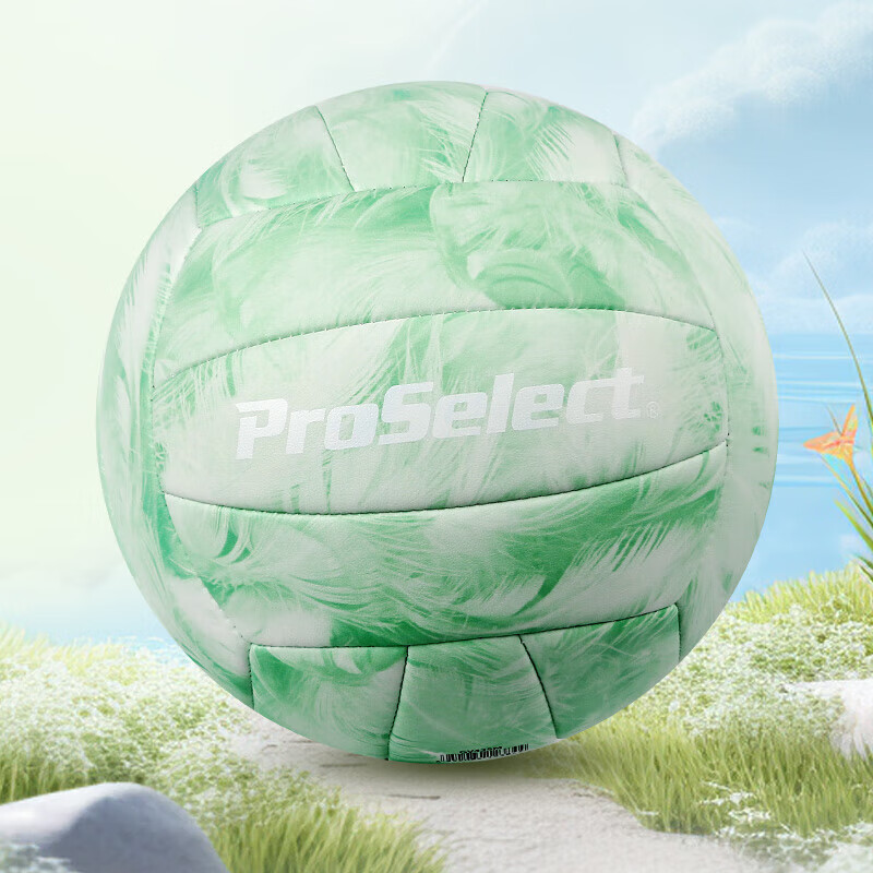 专选（ProSelect）排球PU柔软耐磨机缝儿童青少年学生校园比赛中考标准5号硬排球 5号 GV435M-青鸾翠羽