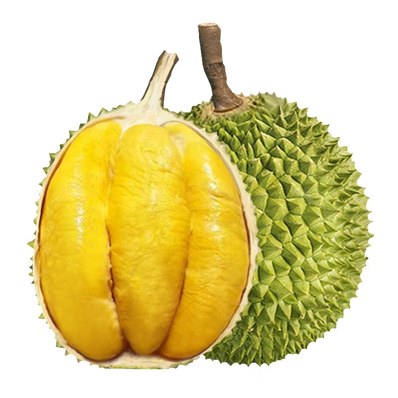 静益乐源猫山王榴莲 泰国进口长柄猫山王 新鲜榴莲水果 一个装3-4斤