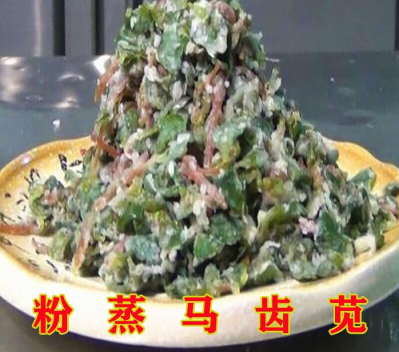 虎钢馋马齿苋 蒸马蜂菜 马蜂菜  蒸野菜 蒸槐花  蒸菜 徐州丰县特产