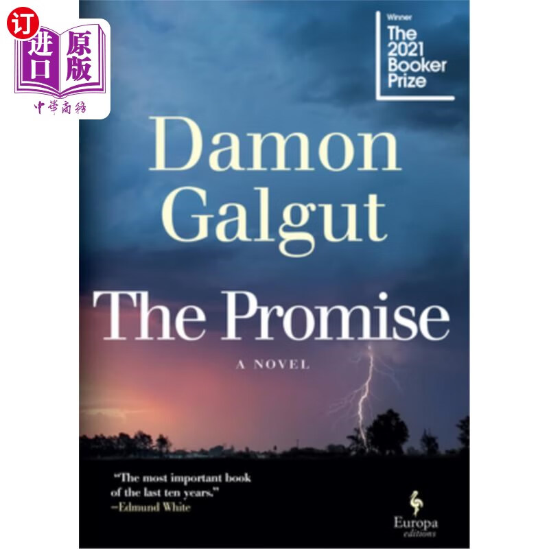 海外直订the promise: a novel (booker prize winner) 小说《承诺》