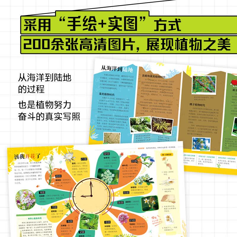 自然博物 中小学植物趣味百科课外阅读 图说天下博物地球精装版详情图