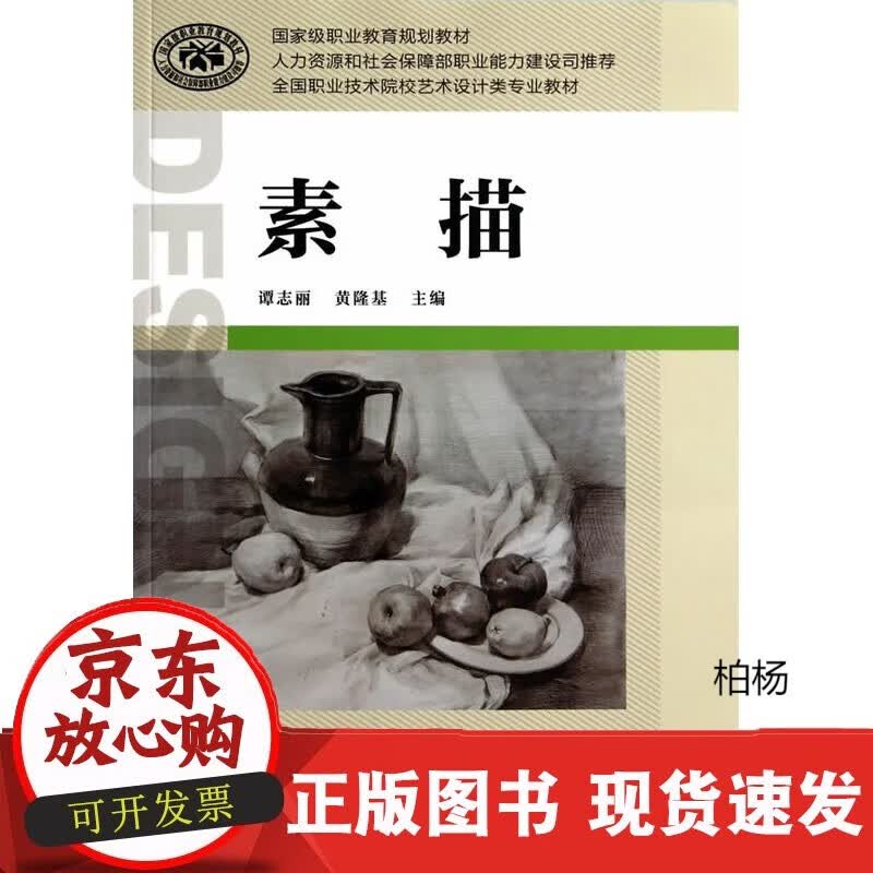速发 素描