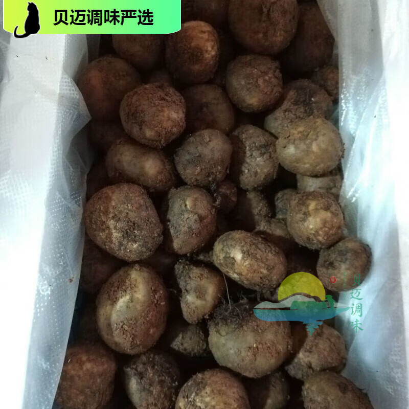 食芳溢云南新鲜菌马皮泡 地馒头马勃地轱辘地滚子 1斤(500克)