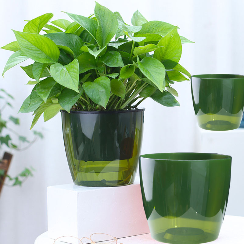大花盆办公室桌面水培土培储水式加厚懒人花盆  高透绿色3个装6201