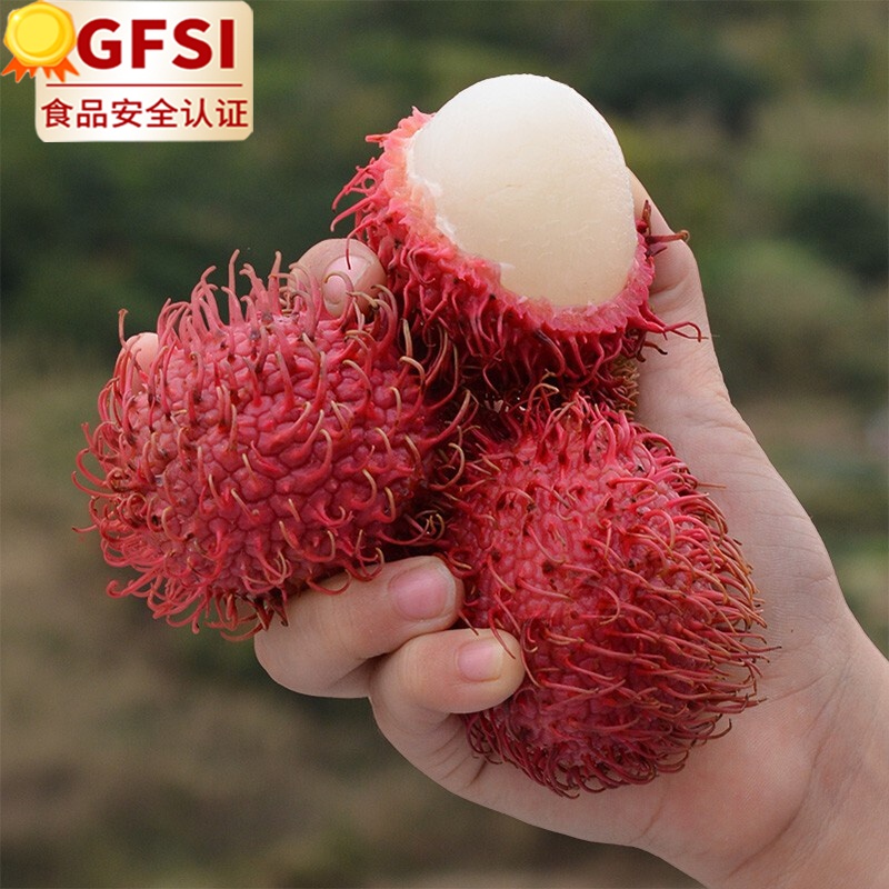 四叔公果蔬(顺丰空运多地隔日达)海南保亭7号红毛丹礼盒装 新鲜水果当