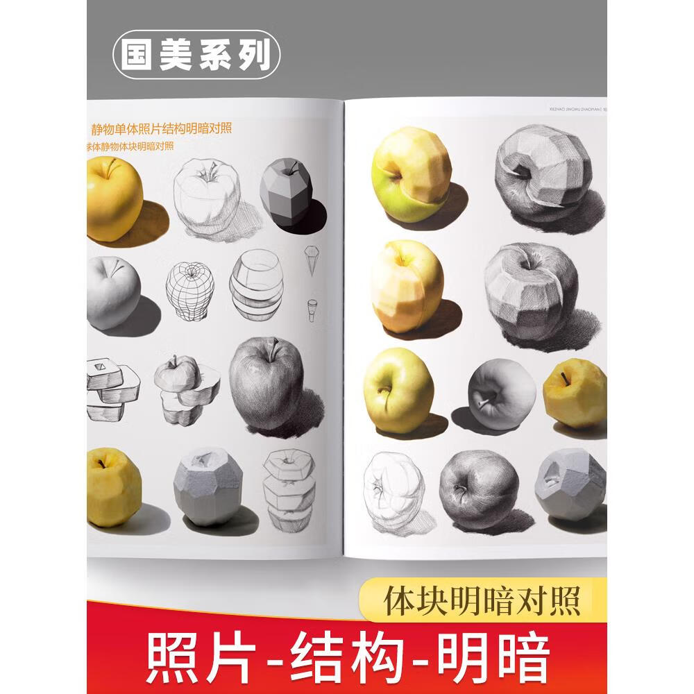 写照素描静物写生照片书临摹对画素材构图单体组合几何体石膏陶罐蔬果