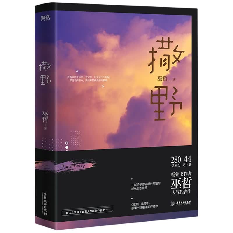 撒野 正版现货 晋江人气青春文学狼行成双格格不入一个钢镚炮楼青春小说 新华书店
