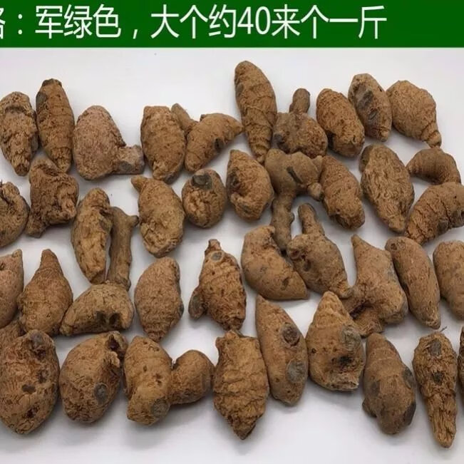 血三七草水三七乌七紫三七菊叶三七圆形食用农产品250克500克 500克