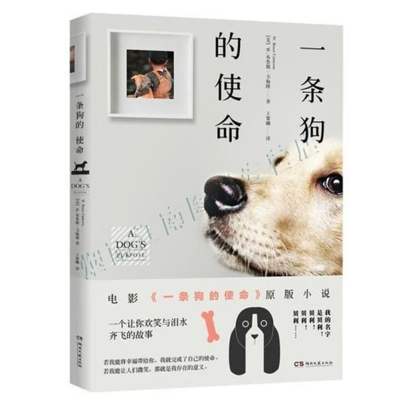 一条狗的使命【上新】