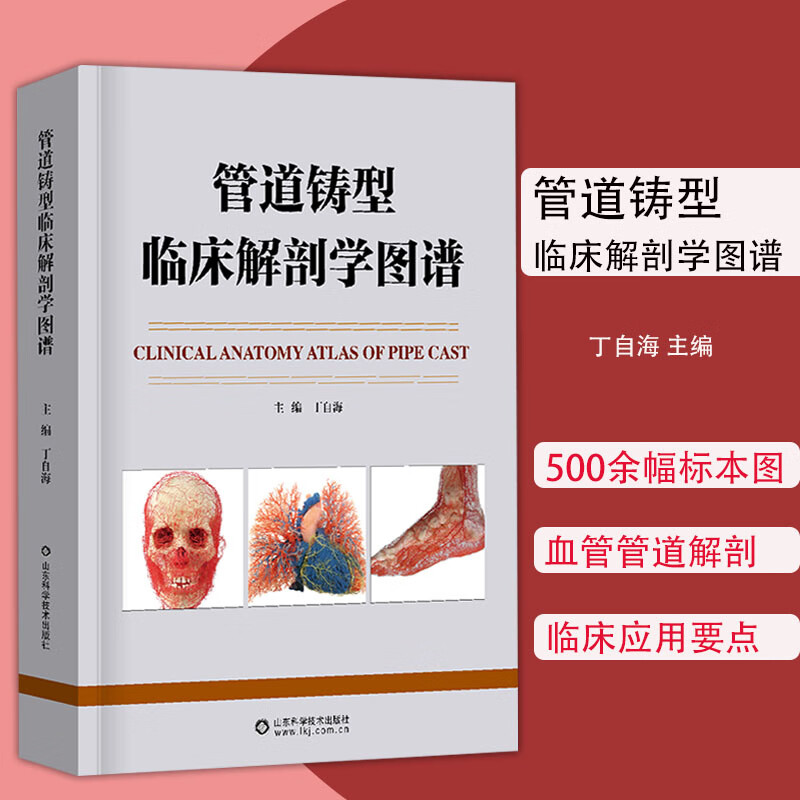 管道铸型临床解剖学图谱人体不同部位或器官的血管或管道解剖精选500