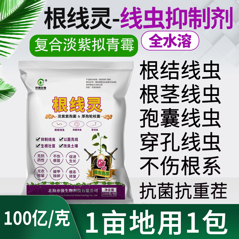 【亦强】根线灵微生物菌剂淡紫拟青霉蔬菜果树花卉通用不伤根不烧苗有效保护植物根系 200克/包*5包