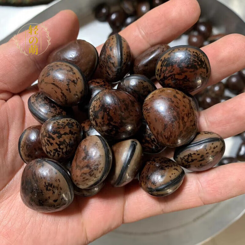 轻萌抛光散装大花豆木鱼果菩提子未打孔车挂文玩菩提手串原料 抛光无