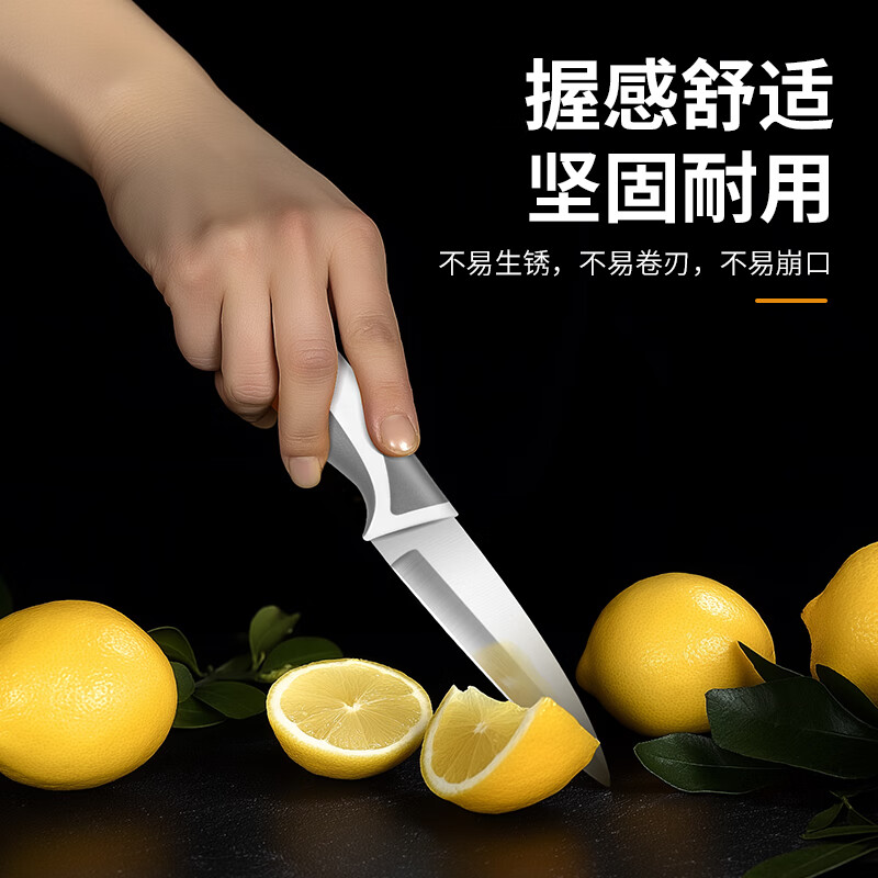 力王家用便携不锈钢水果刀塑料柄瓜果刀削皮刀多用刀带刀套