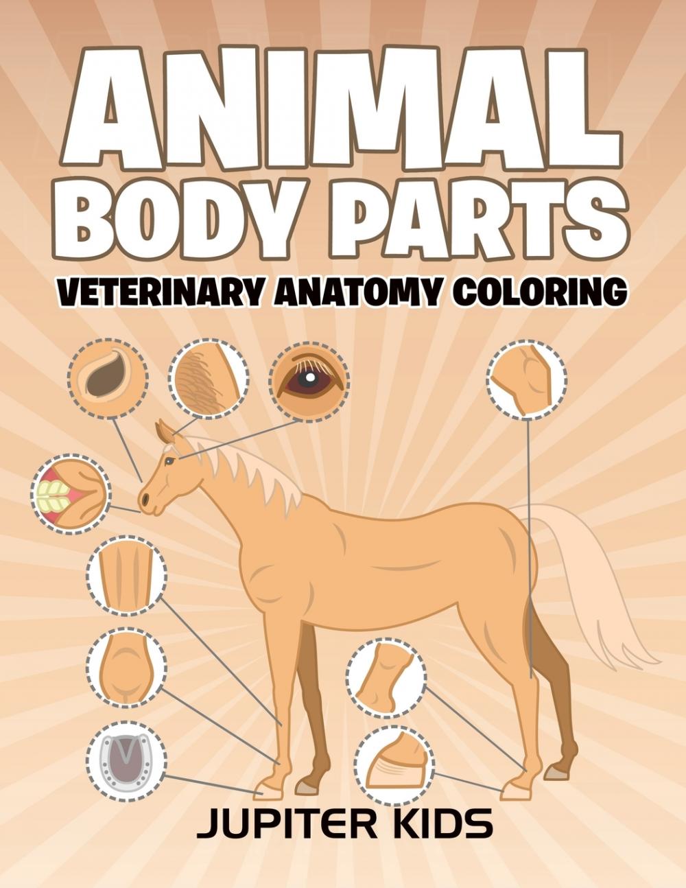 预售 按需印刷animal body parts