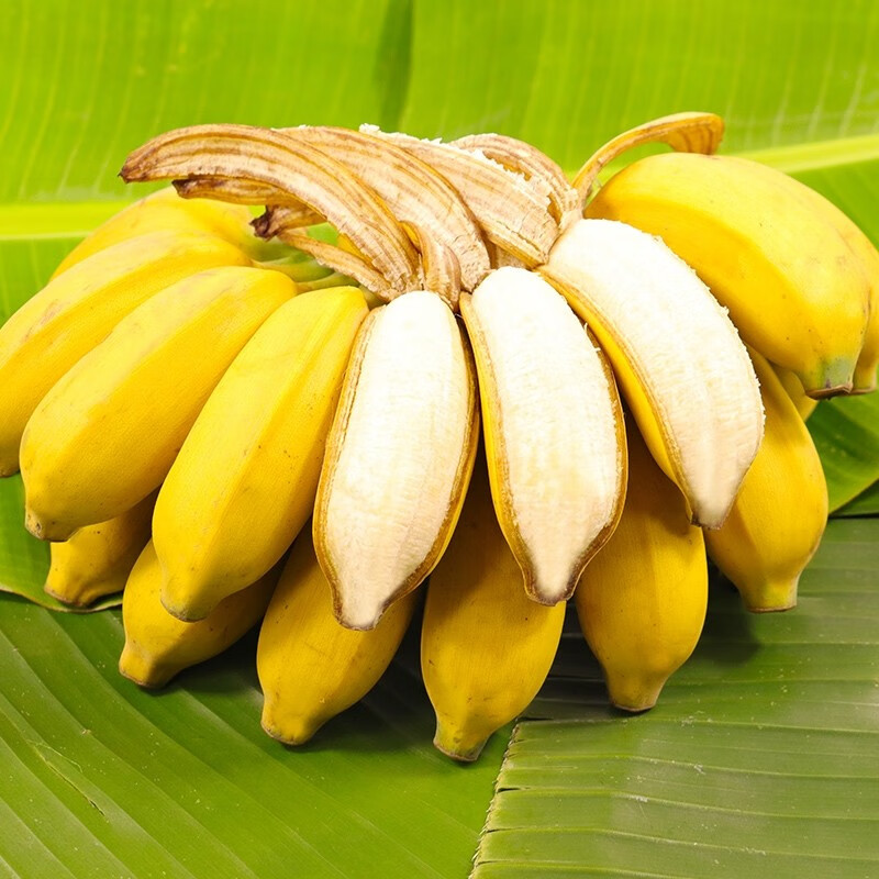 囧仙子现摘广西小米蕉当季新鲜水果整箱自然熟banana自然熟整箱芭蕉 5