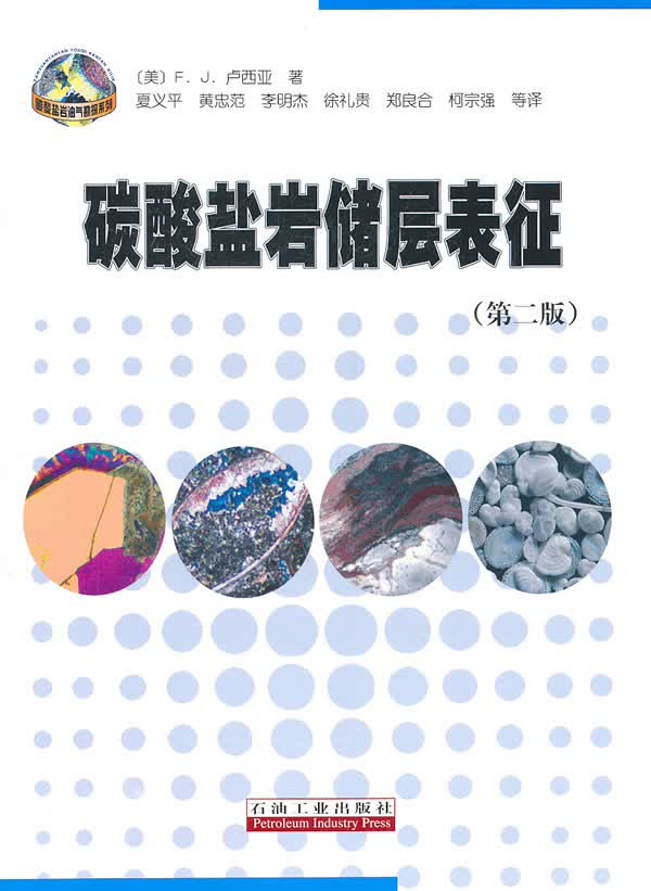 碳酸盐岩储层表征(第二版)【正版图书】