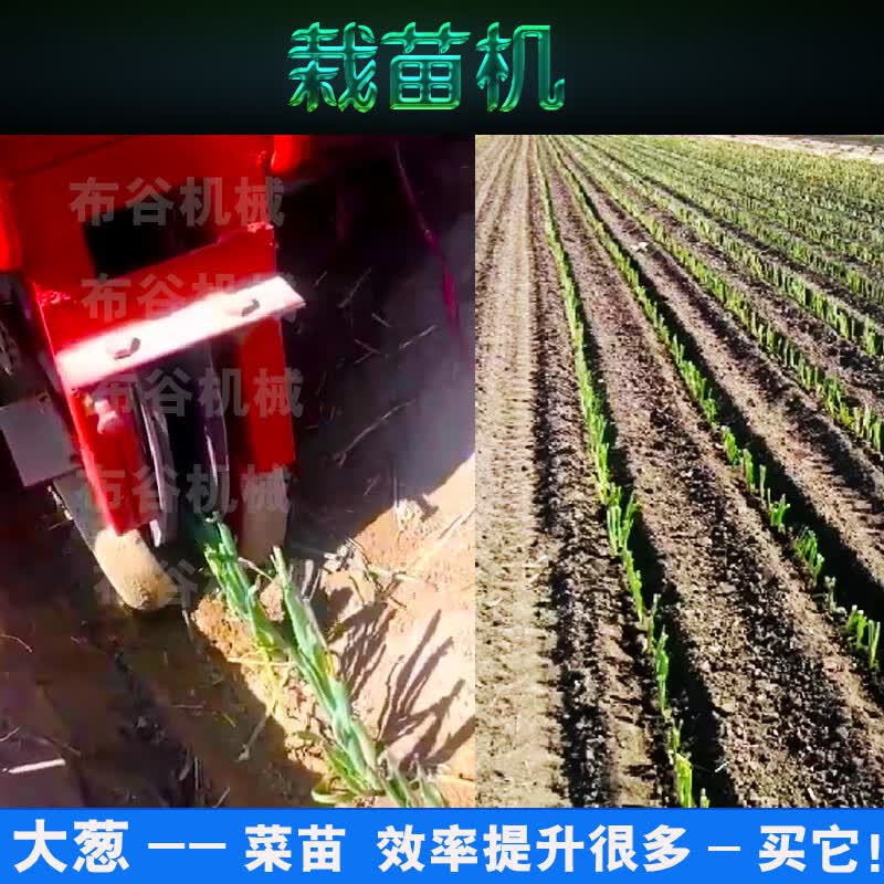 刘不丁大葱移栽机韭菜辣椒蔬菜菜苗种植机秧苗机葱苗栽种机自动栽苗机