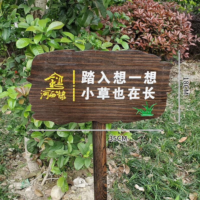 玖纹豹花园花草植物标牌木质插地指示标识牌幼儿园菜园菜地种植木牌