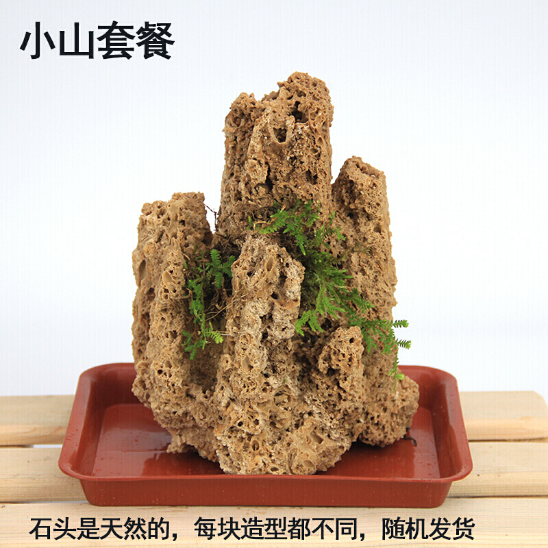 沪上素居官方店天然假山石头盆景吸水石盆景假山石原石上水石奇石办公
