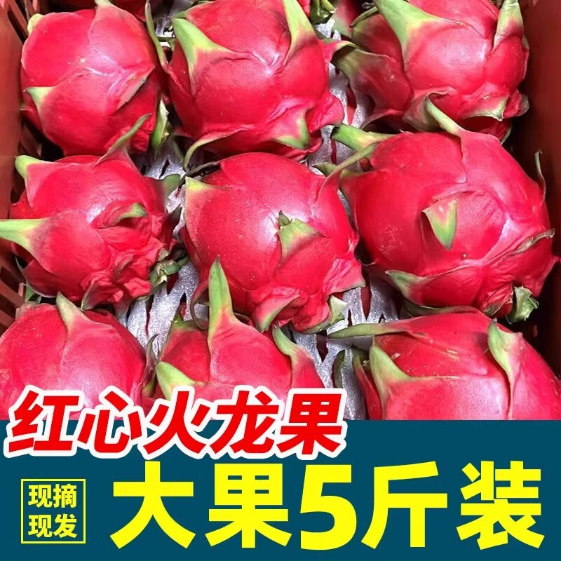 四叔公果蔬红心火龙果特大果海南金都一号新鲜孕妇水果大红肉火龙果
