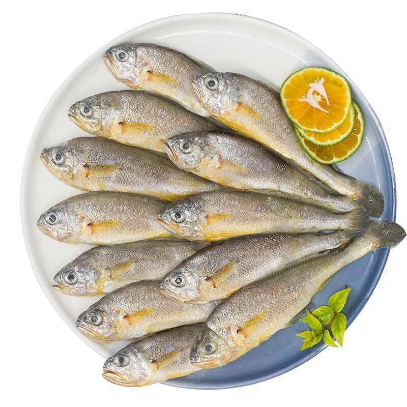 农谣人 东海冷冻小黄鱼500g袋 海鲜水产生鲜鱼类整条活鲜速冻 500g/1袋装