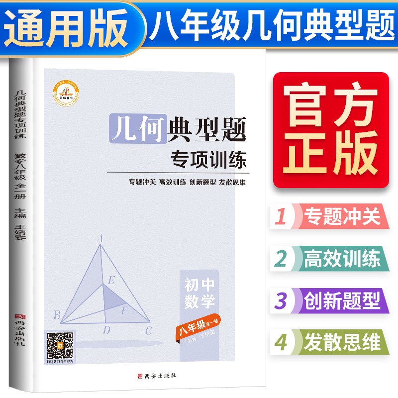 初中典型题专项训练·八年级几何 初中数学必刷题专项训练八年级几何解题方法与技巧高效训练典型题8年级易错题初二综合题