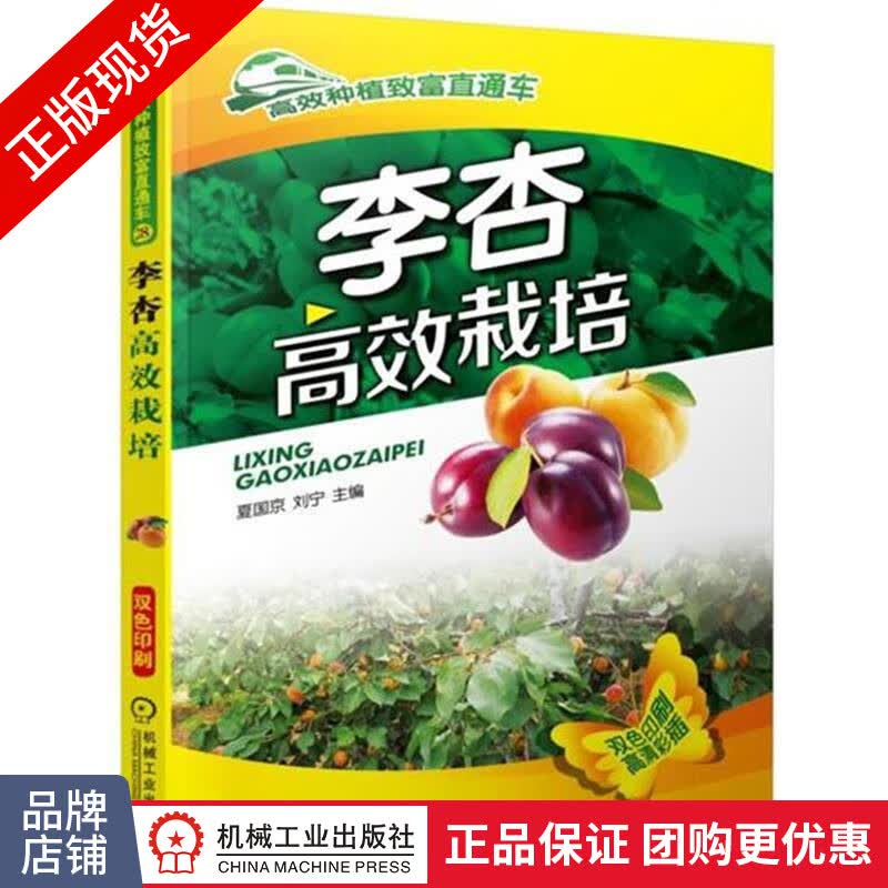 正版包邮 李杏高效栽培|4939997