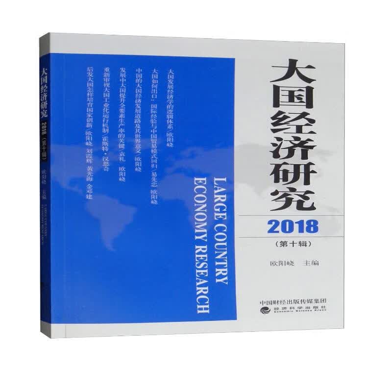 大国经济研究（2018年 第10辑）