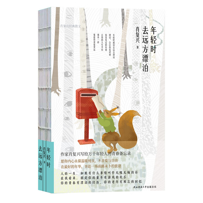 肖复兴经典散文(精装)(多篇作品入选中小学生语文教材)