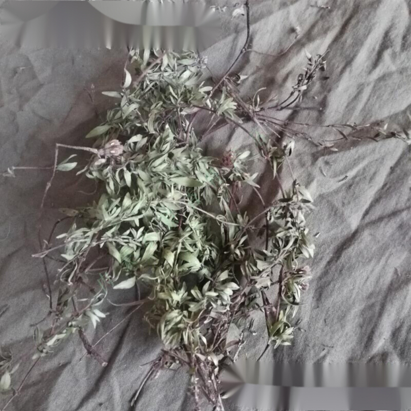 虎钢馋地椒内蒙特产山胡椒山椒百里香山花椒炖肉烧烤西餐调料 250g