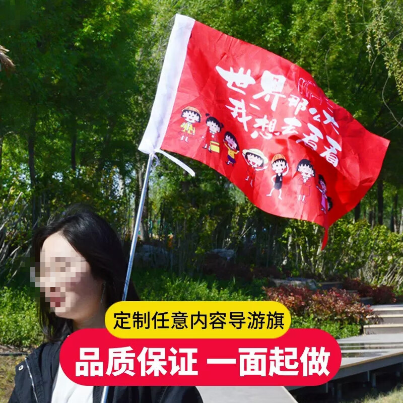 团建旗订做个性卡通领队旗儿童卡通旗定制diy旗杆 导游旗30*45厘米 1