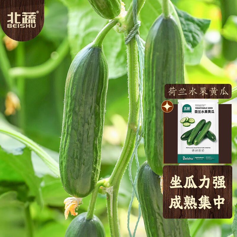 看蔬菜类价格涨跌软件|蔬菜类价格走势图